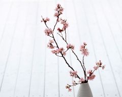 Tapeta Nature Flowers 168.jpg